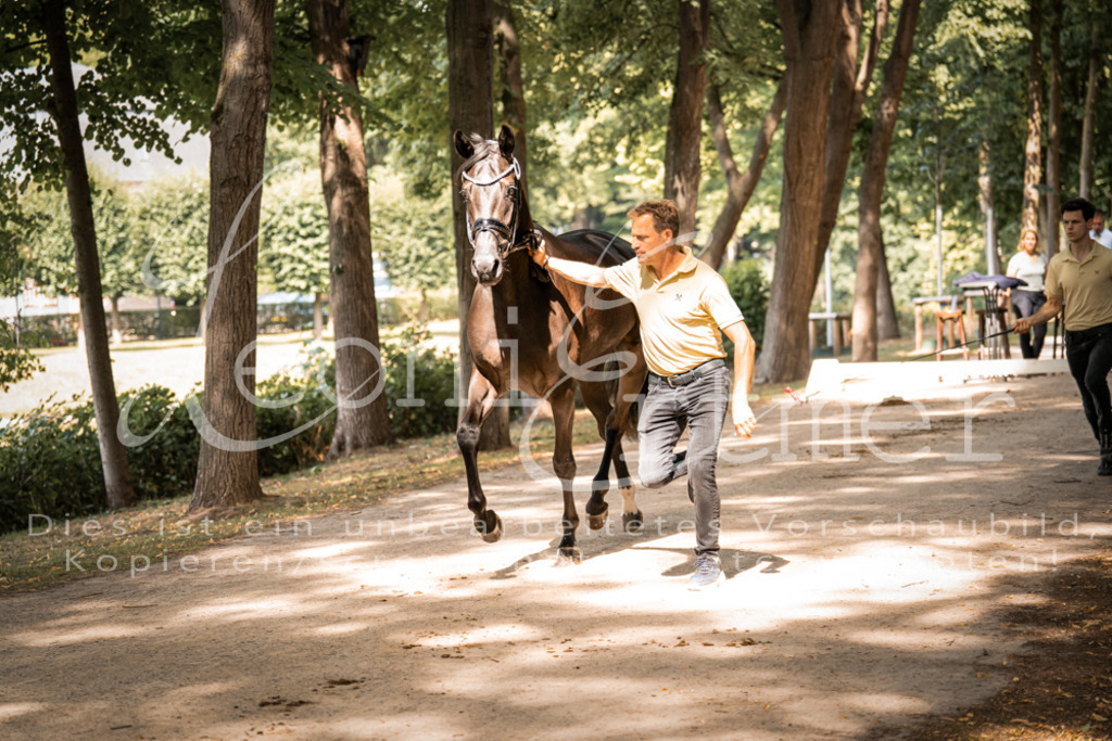 FrPfM00198 | Leoni Ertmer Photography - Realisiert mit Pictrs.com