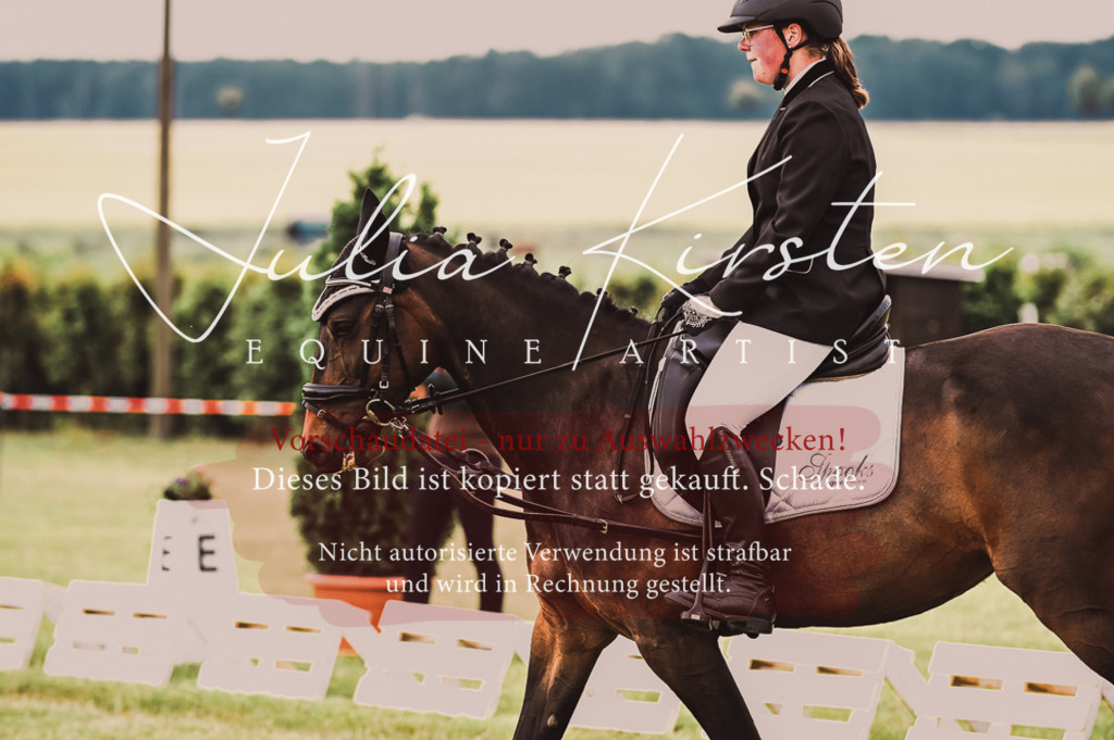 DSC_4927 | Pferde- und Turnierfotografie in Westsachsen. Pferdeportraits, Auftragszeichnungen und intuitive Kunst.
