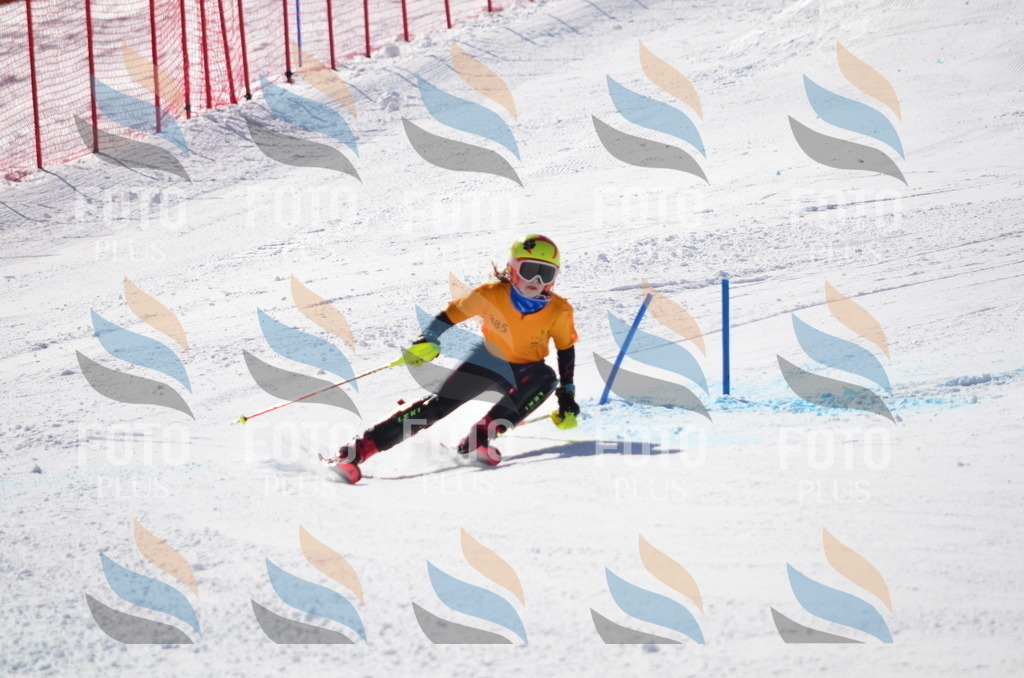 C9631 | holidayphoto