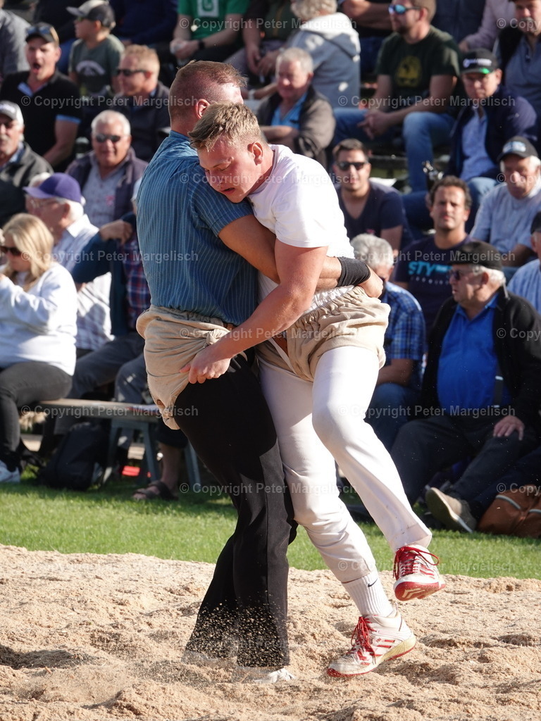 DSC05623 | Schwingen - Realisiert mit Pictrs.com