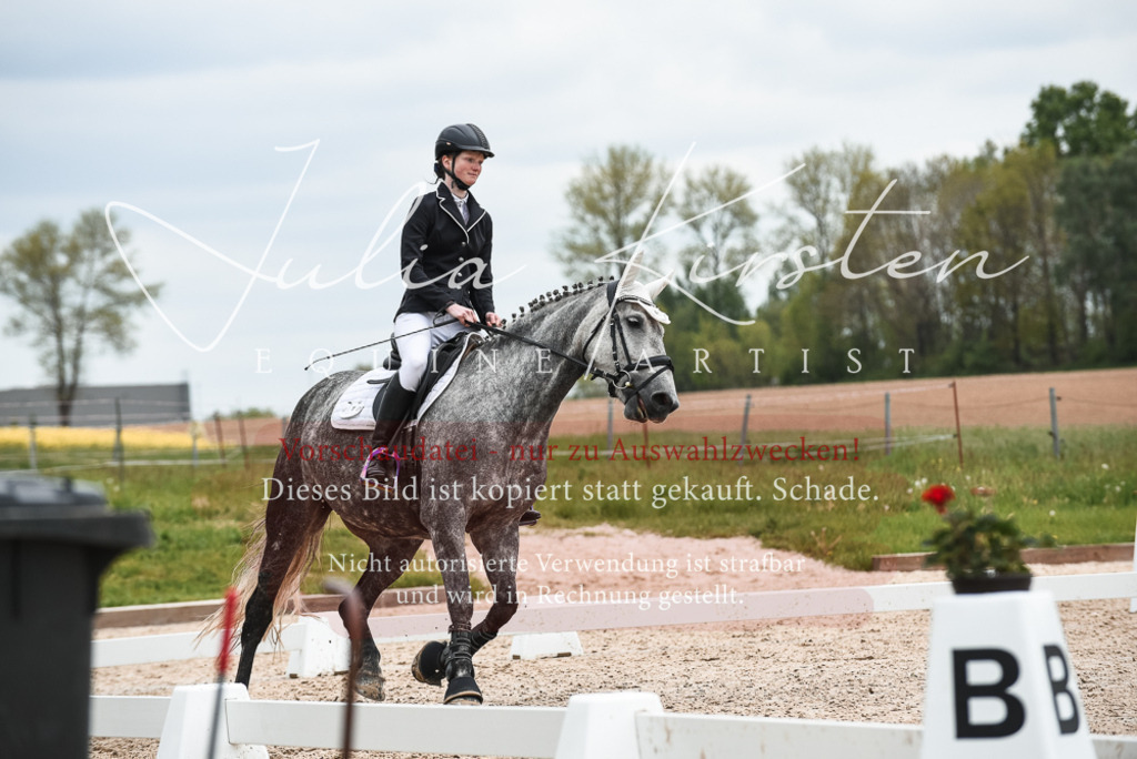 20230518_JK-Röhrsdorf-10-411 | Pferde- und Turnierfotografie in Westsachsen. Pferdeportraits, Auftragszeichnungen und intuitive Kunst.