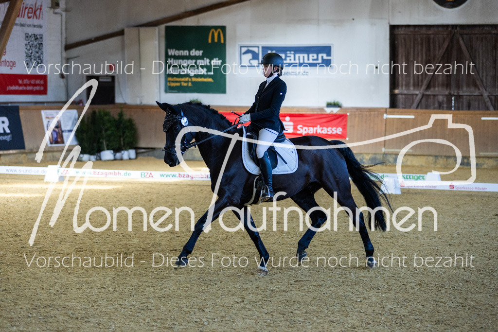 Sth-LPO25-DrR-L-245 | MomenTaufnahmen Pferdesportfotos