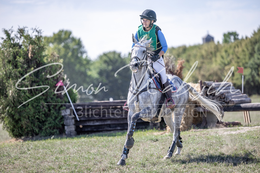 20260906-_3LI5331 | Tierfotografie Pferde, Hunde, Katzen, Haustiere.
Turnierfotografie Reitturniere, Reiten, Springreiten, Dressur in Hanau, dem Main-Kinzig-Kreis und dem Rhein-Main- Gebiet um Frankfurt