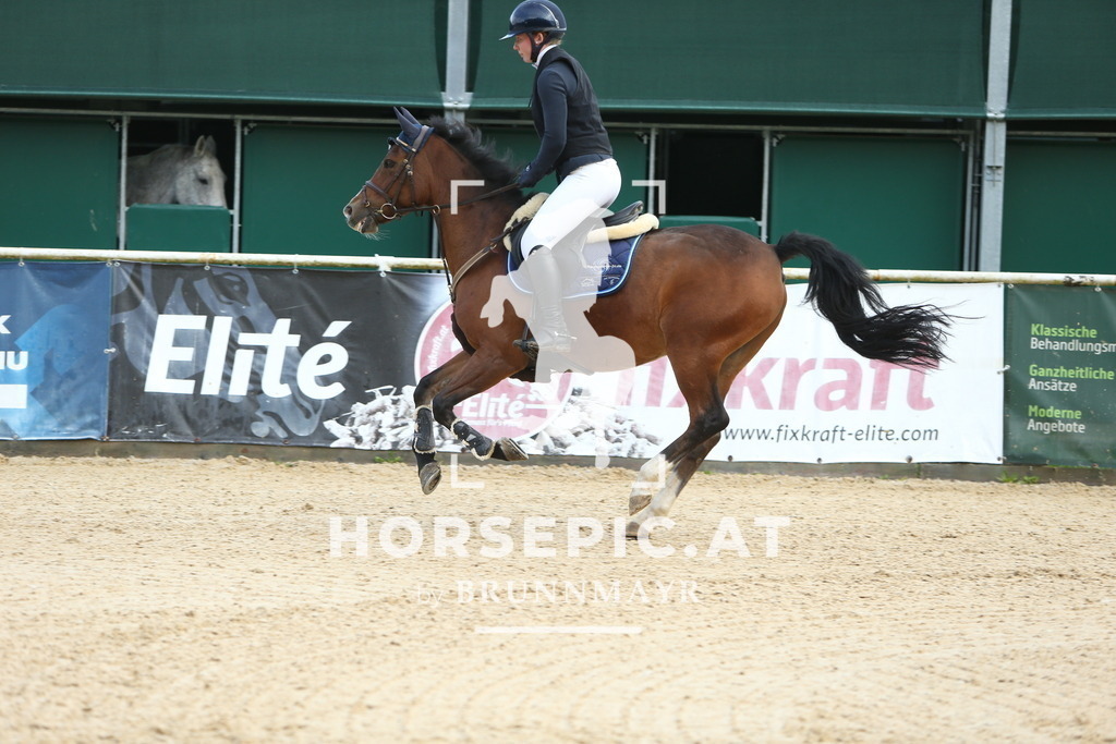 DL2Q0328 | Willkommen bei Brunnmayr - Design & Fotografie – Ihrem Spezialisten für Reitturniere und Pferdeveranstaltungen in Oberösterreich, Salzburg und Bayern! Seit über 17 Jahren sind wir leidenschaftlich dabei.
