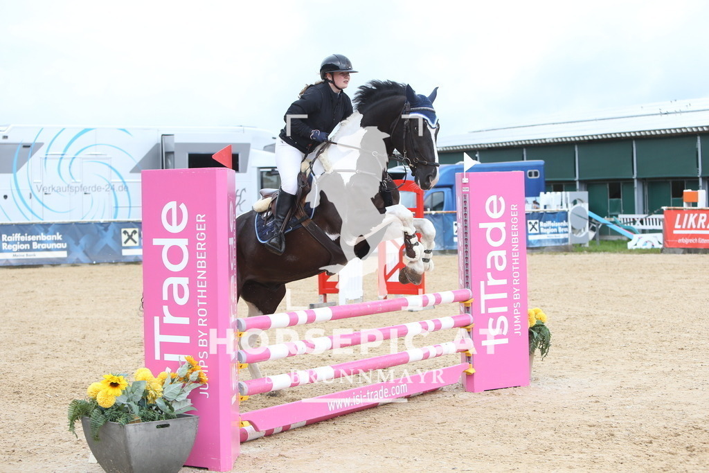 DL2Q1383 | Willkommen bei Brunnmayr - Design & Fotografie – Ihrem Spezialisten für Reitturniere und Pferdeveranstaltungen in Oberösterreich, Salzburg und Bayern! Seit über 17 Jahren sind wir leidenschaftlich dabei.