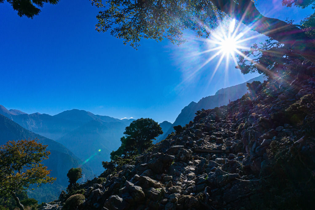 _DSC0588 | <meta name="keywords" content="Bergbilder, Hochzeitsfotografie, Actionshootings, Fotografiearbeiten, Berglandschaften, Naturfotografie">

 - Realisiert mit Pictrs.com