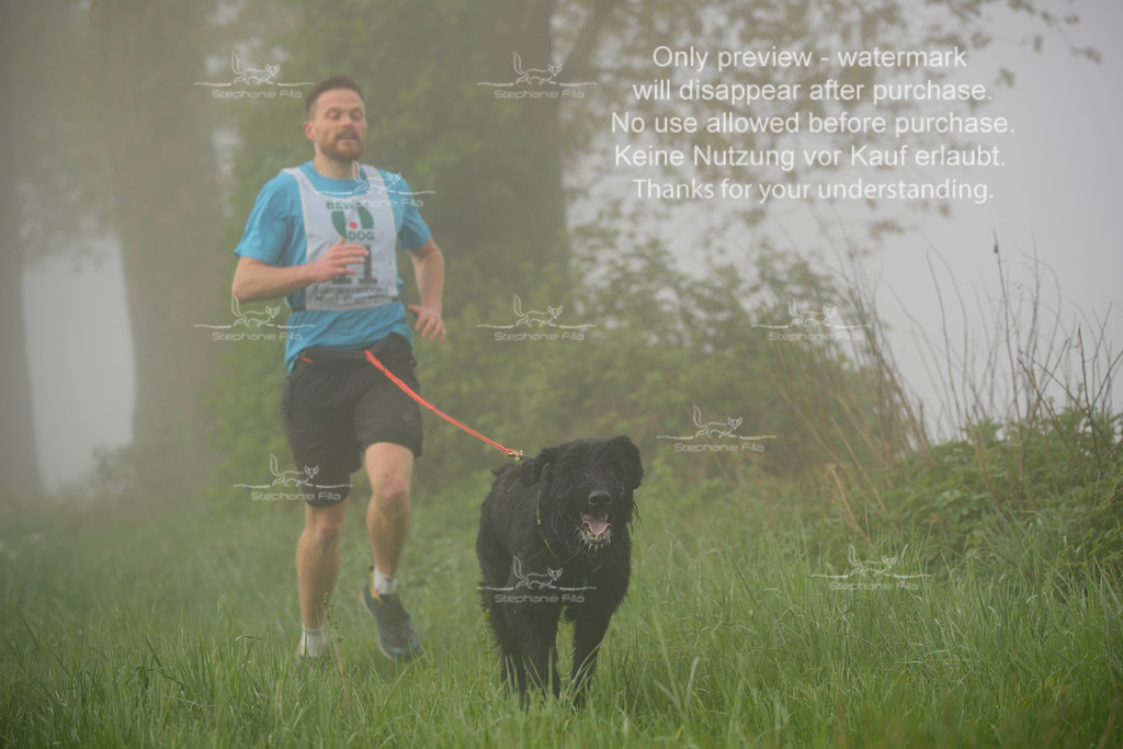 SA_GL2-60 | stephaniefillaphotographie - Realisiert mit Pictrs.com