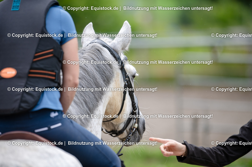 20250725_Vielseitigkeitslehrgang-Marbach_0396 | Foto: Thomas Hartig