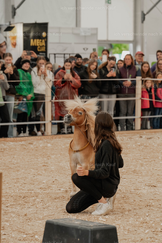 Showprogramm-63 | working equitationturnier fotograf videograf stoibphotography marixx film working equitation deutschland reitsport turnierfotografie eventfotografie equestrian events