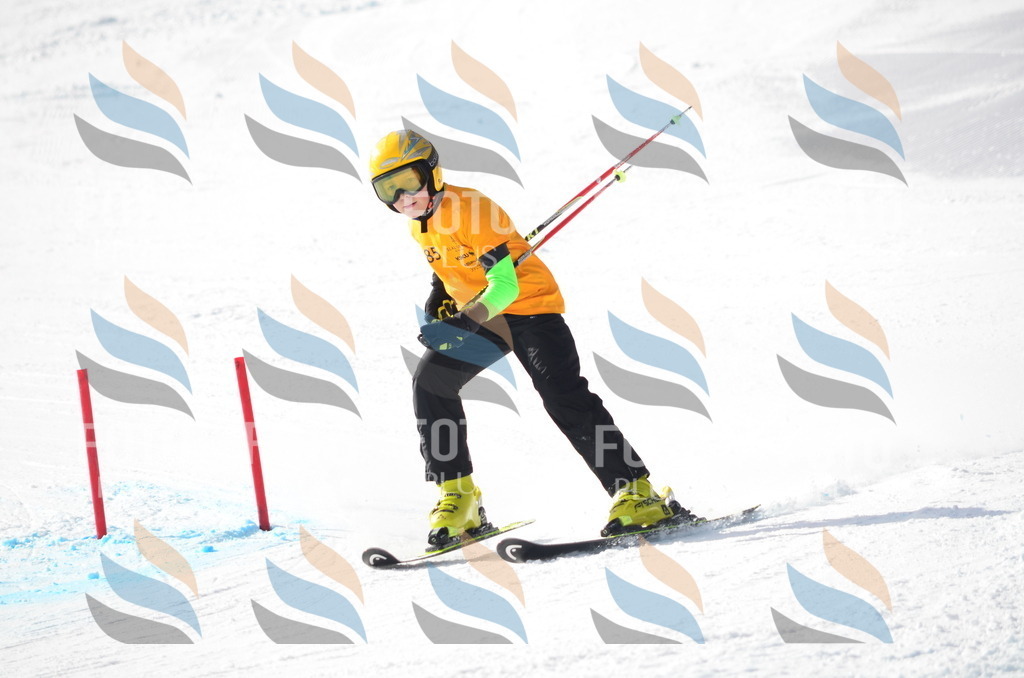 C8024 | holidayphoto