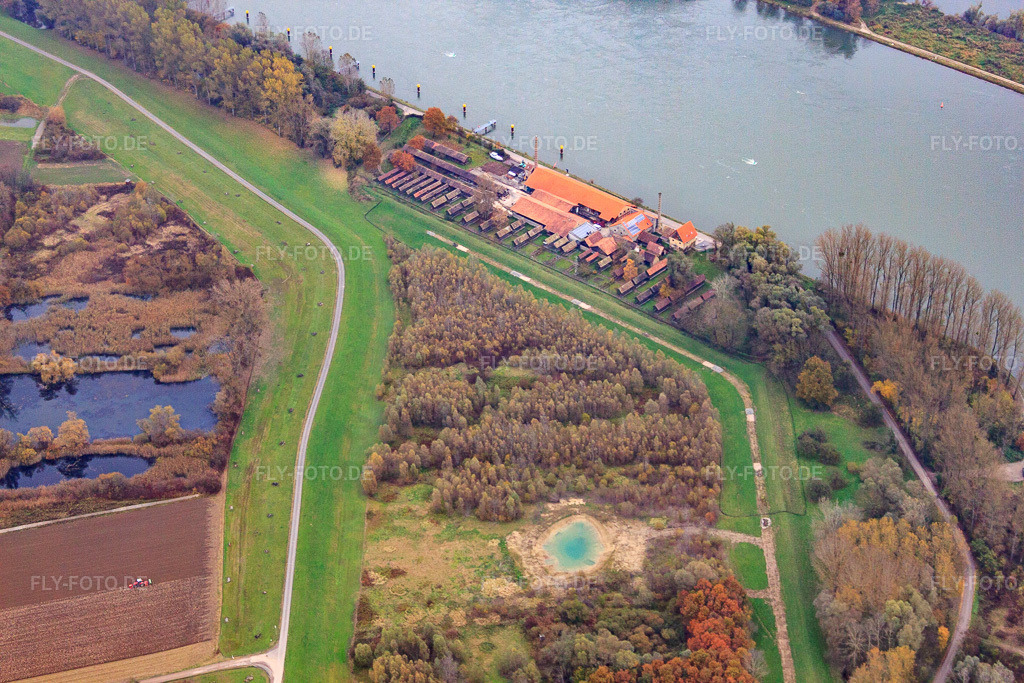 Luftbild: Radweg auf dem Rheindamm zur Alten Ziegelei am Rhein in Germersheim im Bundesland Rheinland-Pfalz in Deutschland. Foto: IMG_60892.jpg vom 16.11.2013 durch Werner Riehm/FLY-FOTO.de