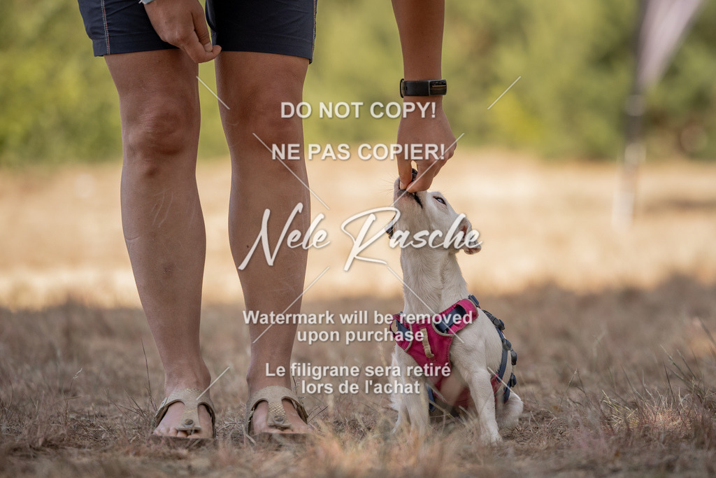 nelerasche_soDD2_222 | nelerasche