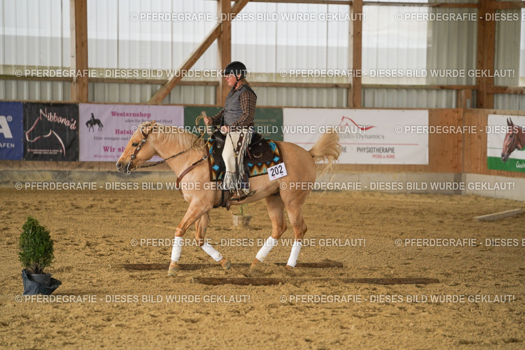 DSC04936 | Pferdegrafie