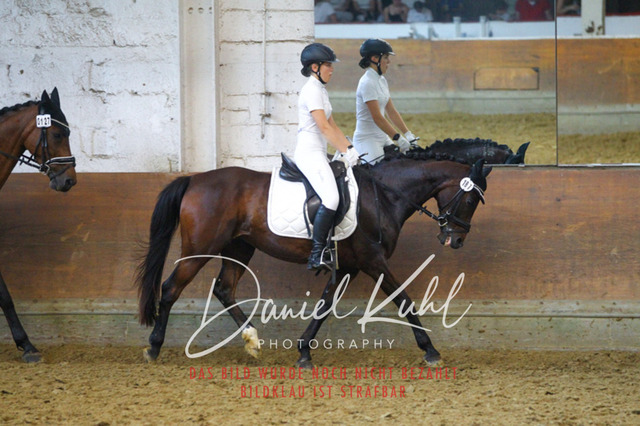 DKP44311 | Turniersportfotografie; Pferdefotografie; Dressurfotografie