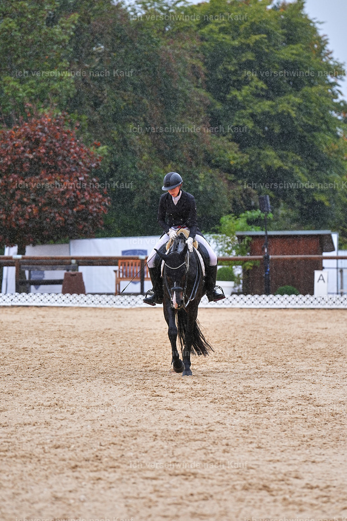 8_1-027-Klasse S_  -Marixx-4399 | working equitationturnier fotograf videograf stoibphotography marixx film working equitation deutschland reitsport turnierfotografie eventfotografie equestrian events