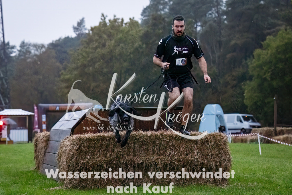 0802-_ZZ90021-Bearbeitet-Bearbeitet | kk-dogfotos