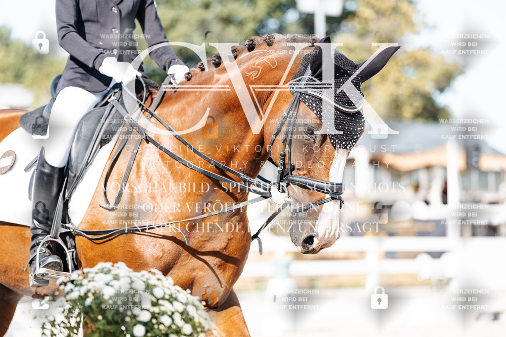 CK905625 | Turnierfotografie Pferdefotografie Trier Rheinland-Pfalz Pferdesport Reitsport Tierfotografie Sportfotografie Pferdevideo Pferdevideografie Equestrianvideography equestrianphotography  - Realisiert mit Pictrs.com
