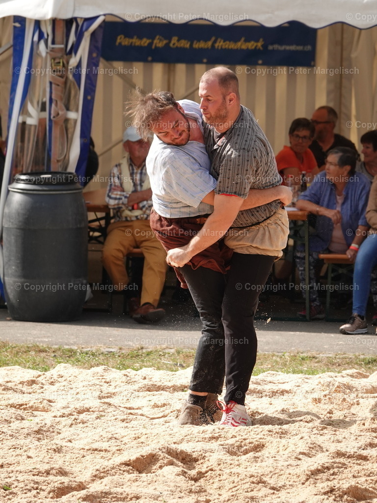 DSC05755 | Schwingen - Realisiert mit Pictrs.com