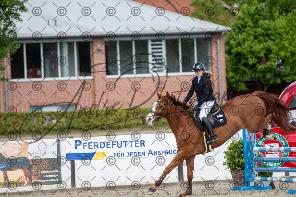 KPT_5062 | andre_photographic