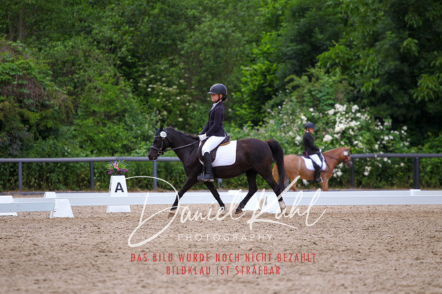 DKP46252 | Turnierfotos kaufen im Webshop von Daniel Kuhl Photography – entdecke professionelle Reitsportfotos aus Turnieren & Events. Hochwertige Turnierbilder online bestellen & sichern. Jetzt Fotos von Reitsportturnieren kaufen!