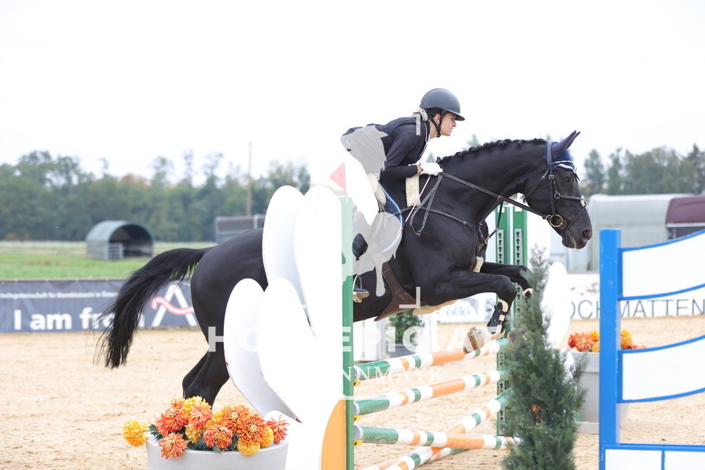 0P6A2185 | Willkommen bei Brunnmayr - Design & Fotografie – Ihrem Spezialisten für Reitturniere und Pferdeveranstaltungen in Oberösterreich, Salzburg und Bayern! Seit über 17 Jahren sind wir leidenschaftlich dabei.