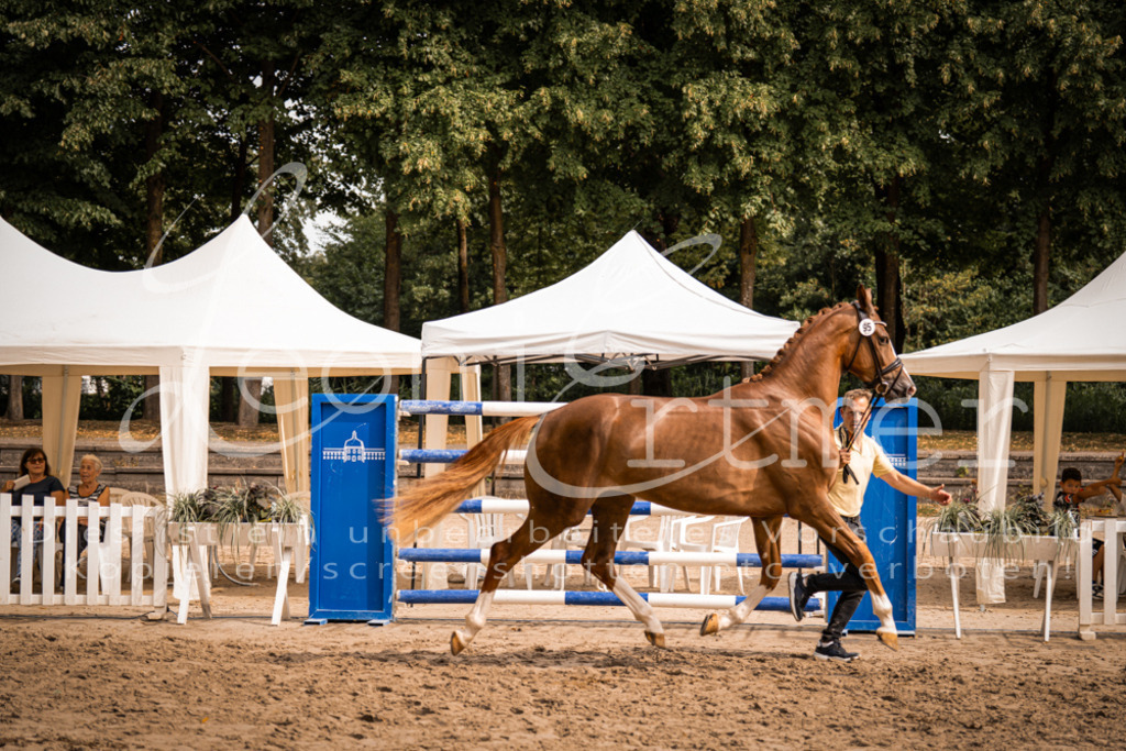 7.Fr00020 | Leoni Ertmer Photography - Realisiert mit Pictrs.com