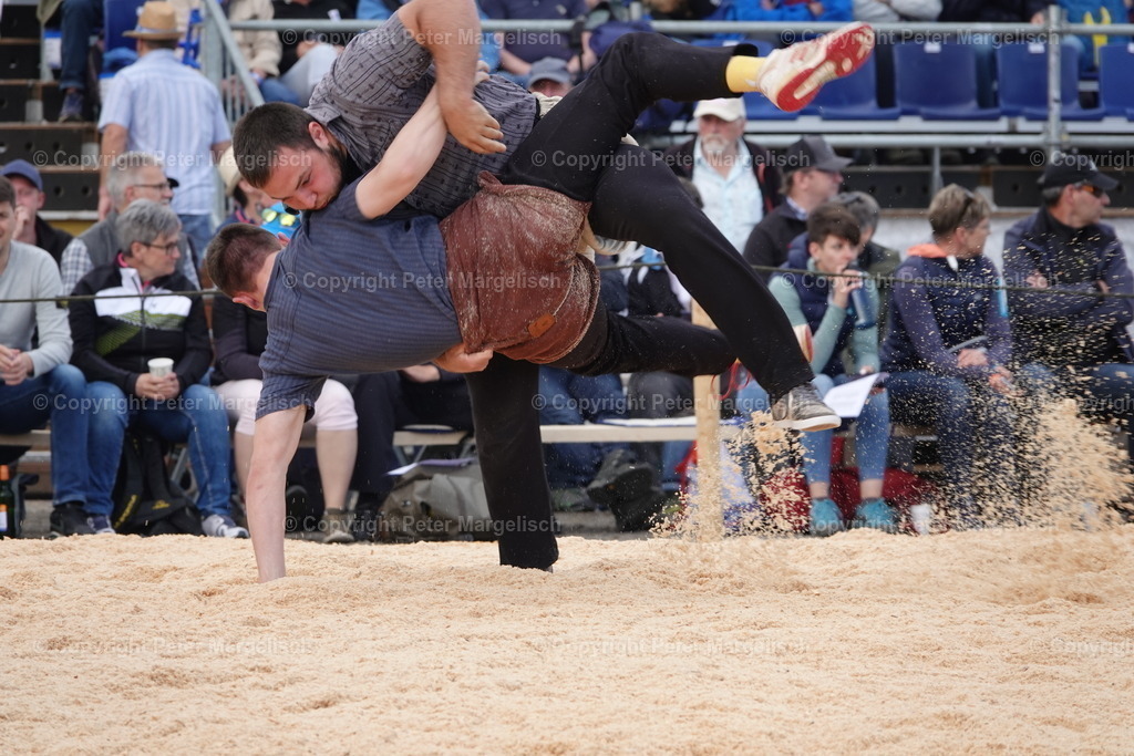 DSC03611 | Schwingen - Realisiert mit Pictrs.com