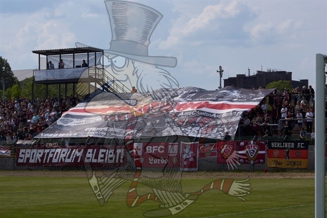 BFC Dynamo vs. Berliner AK 07 002 | mythos-online-redaktion