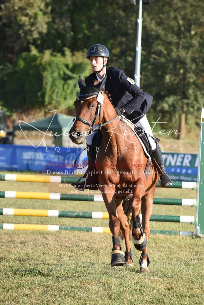 DSC_4960 | Pferde- und Turnierfotografie in Westsachsen. Pferdeportraits, Auftragszeichnungen und intuitive Kunst.