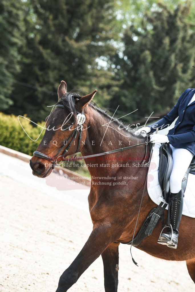 20230518_JK-Röhrsdorf-11-0101 | Pferde- und Turnierfotografie in Westsachsen. Pferdeportraits, Auftragszeichnungen und intuitive Kunst.