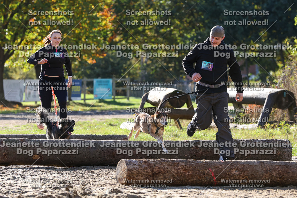 Dog Paparazzi - Strongdog 10-25-6035 | Dog Paparazzi Jeanette Grottendiek Fotografie & Videografie - Realisiert mit Pictrs.com