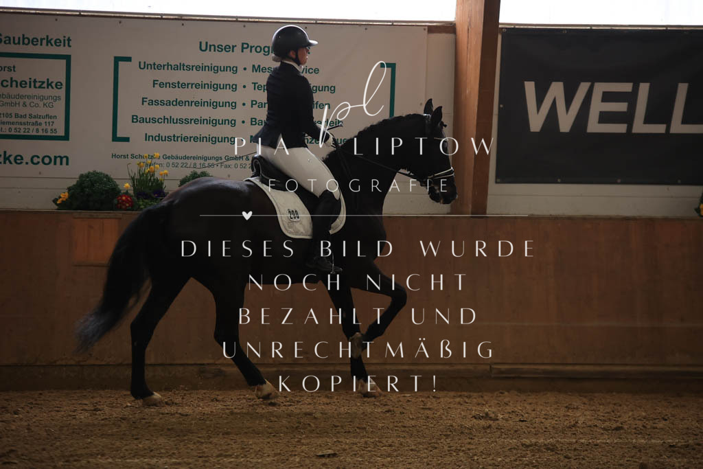 IMGT9832 | pl-fotografie