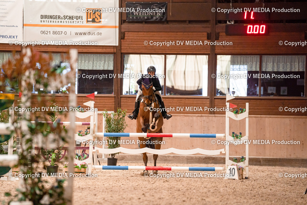 Springen Tag 3-036 | dv-media-shop - Realisiert mit Pictrs.com