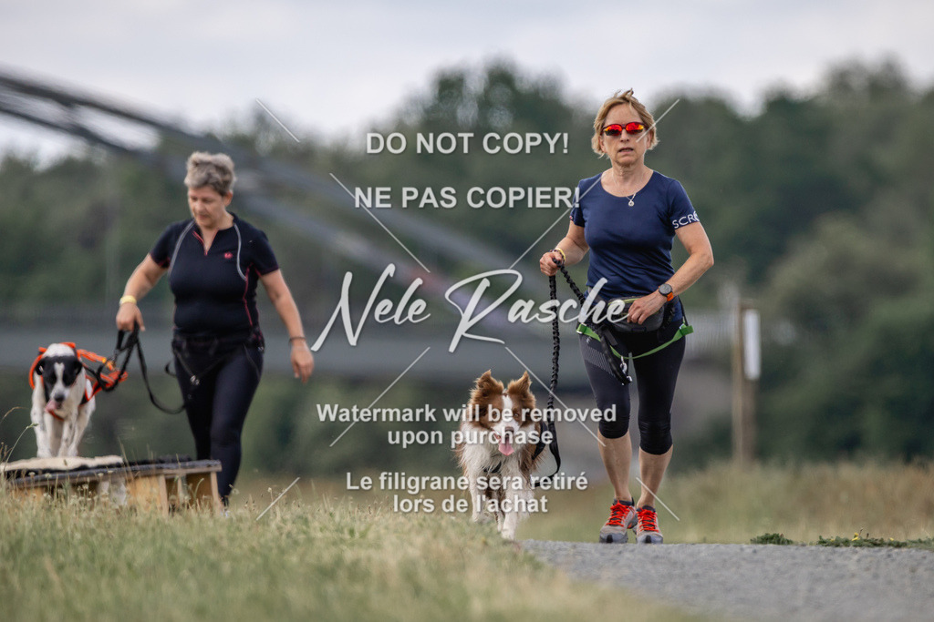 nelerasche_BuHu2026_SaCC1100-1200_146 | nelerasche