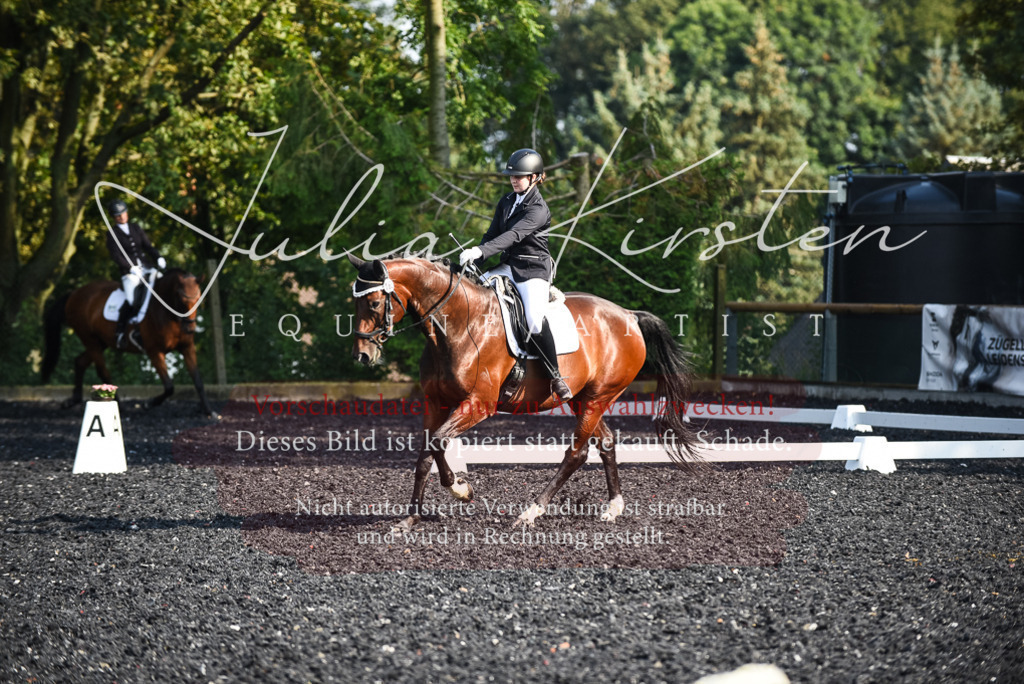 DSC_3213 | Pferde- und Turnierfotografie in Westsachsen. Pferdeportraits, Auftragszeichnungen und intuitive Kunst.