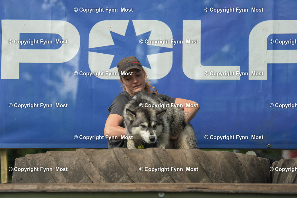 DSC_0848 | Hallo und herzlich Willkommen auf meiner Shop-Seite Fynn Most.

Ich wünsche Dir viel Spaß beim stöbern durch die Bilder, wenn Du Fragen hast oder Bilder vermisst, kannst du mir gerne eine Nachricht schreiben. - Realisiert mit Pictrs.com