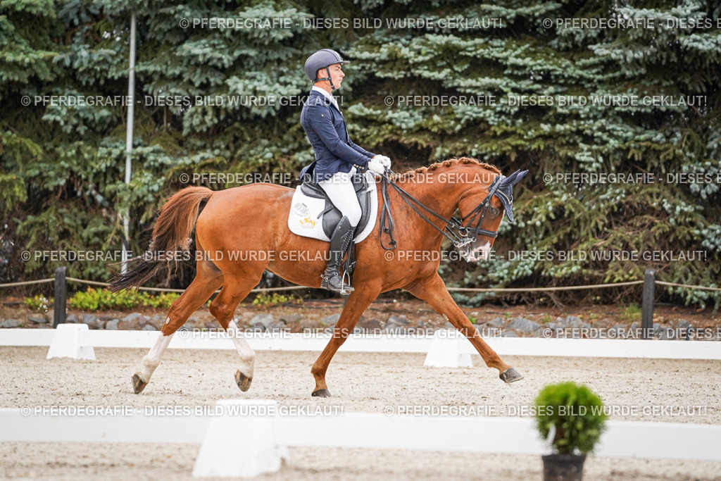 DSC08366 | Pferdegrafie