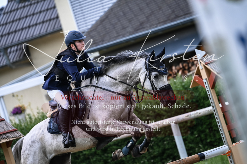 DSC_8156 | Pferde- und Turnierfotografie in Westsachsen. Pferdeportraits, Auftragszeichnungen und intuitive Kunst.