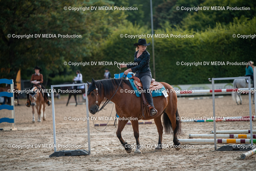 ZS3_9130 | dv-media-shop - Realisiert mit Pictrs.com