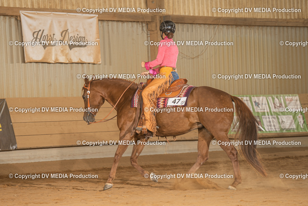 NID03089 | dv-media-shop - Realisiert mit Pictrs.com