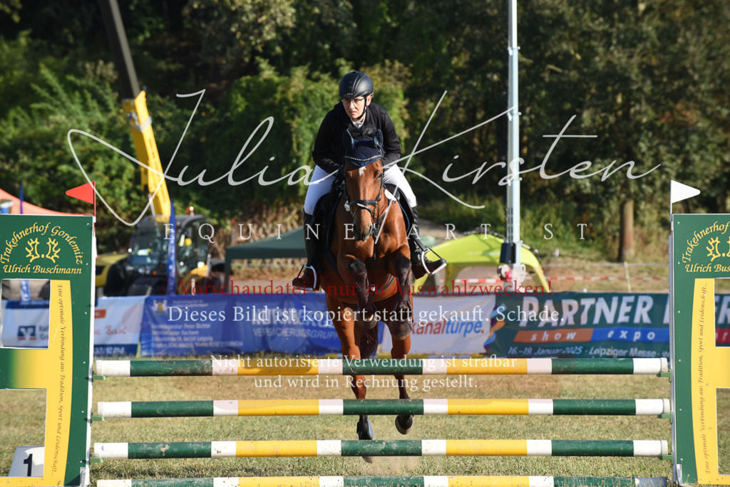 DSC_4972 | Pferde- und Turnierfotografie in Westsachsen. Pferdeportraits, Auftragszeichnungen und intuitive Kunst.
