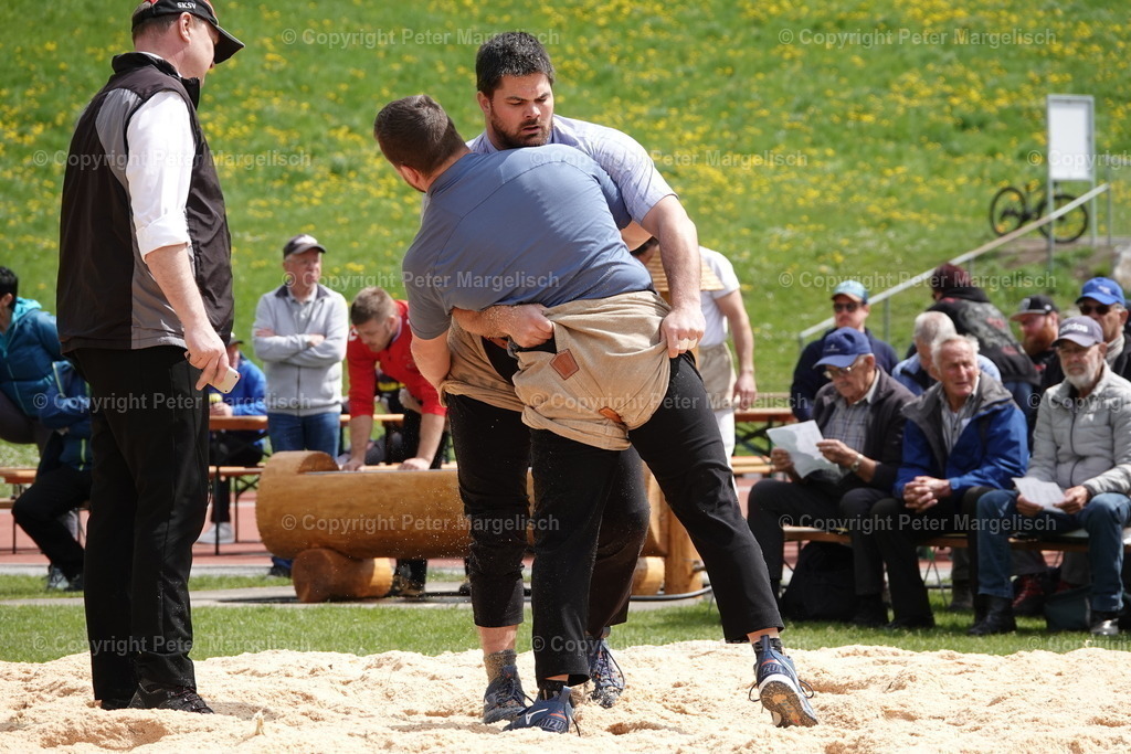 DSC03128 | Schwingen - Realisiert mit Pictrs.com