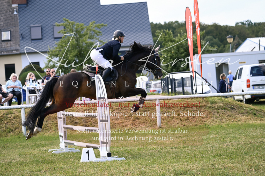 DSC_0552 | Pferde- und Turnierfotografie in Westsachsen. Pferdeportraits, Auftragszeichnungen und intuitive Kunst.