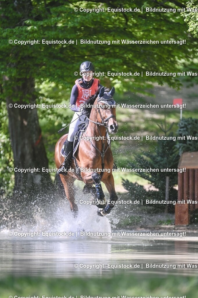 20250517_CCI2_Gelände_0799 | Foto: Thomas Hartig