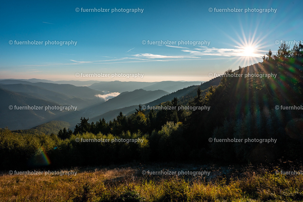 fuernholzer_251004-C1-5 | © Christian Fuernholzer | fuernholzer photography