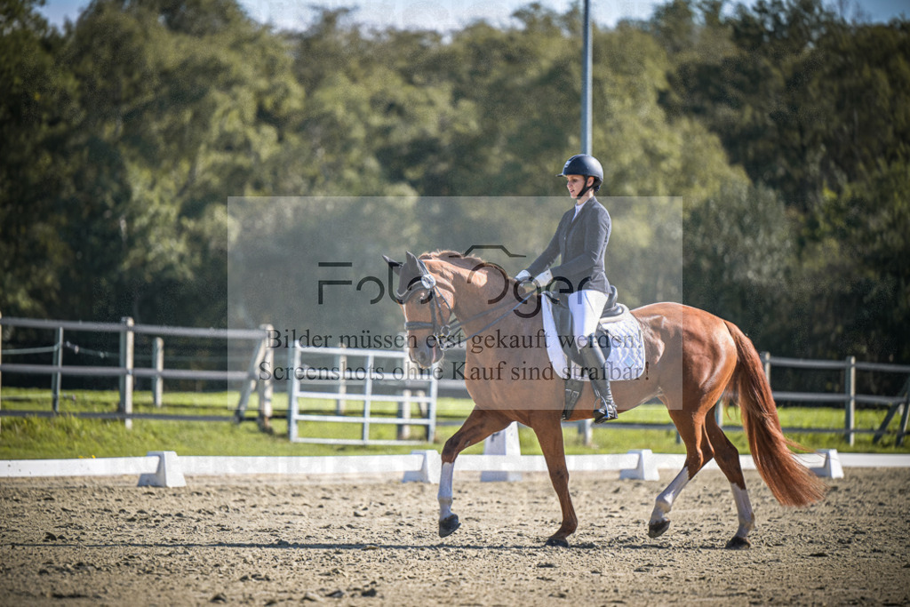 DOS_2667 | Entdecke hochwertige Reitturnierfotos von Foto Oger. Professionell, emotional und authentisch – jetzt Lieblingsmomente im Shop bestellen.Deutschlandweite Turnierfotografie. - Realisiert mit Pictrs.com