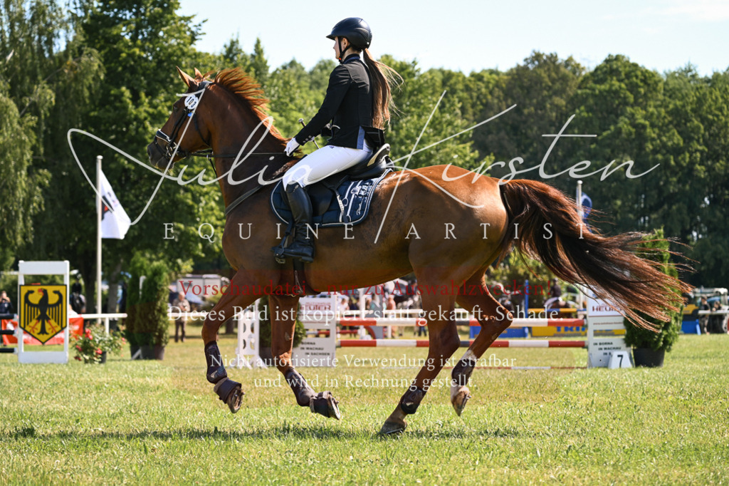 DSC_8869 | Pferde- und Turnierfotografie in Westsachsen. Pferdeportraits, Auftragszeichnungen und intuitive Kunst.