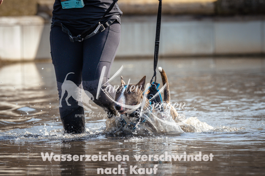 1159_ZZ97935 | kk-dogfotos