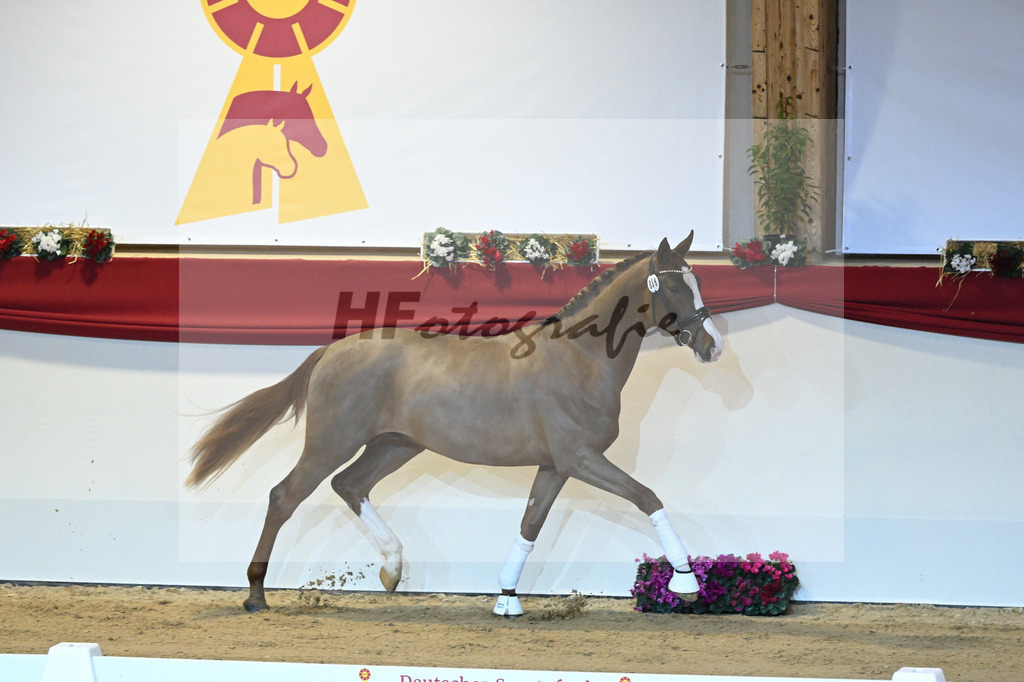 Kat-Nr. 38 Benicio_Wille_1230026 | hf-fotografie - Realisiert mit Pictrs.com