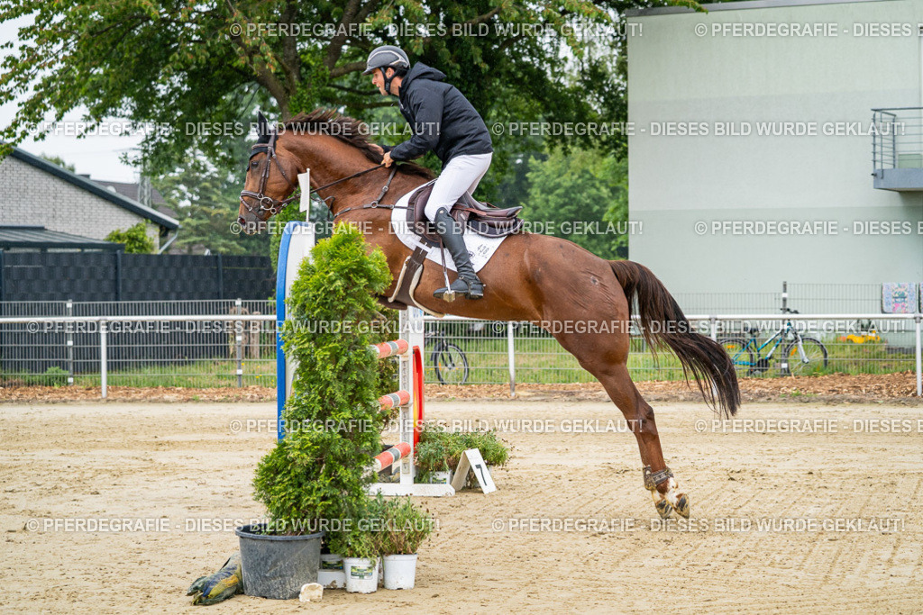 DSC01508 | Pferdegrafie